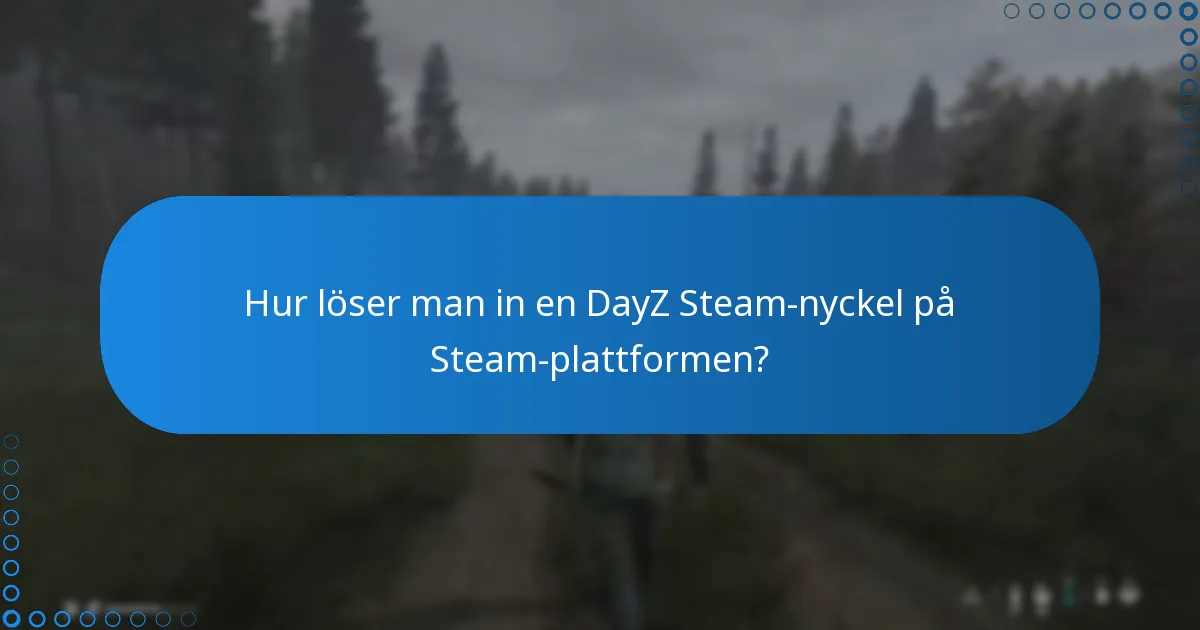 Hur hittar man paketlösningar för DayZ Steam-nycklar?